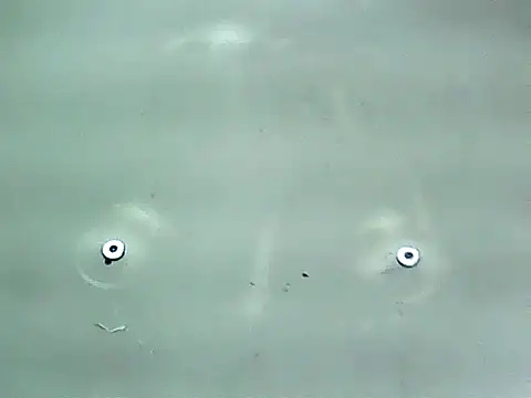 Snapshot of 20cmloiro chatting on 01.15.26 20cmloiro online show from 01.15.26