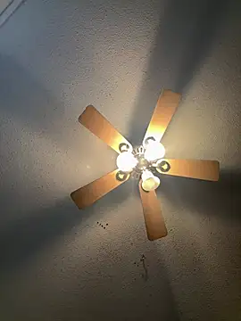 carlithefreak online show from 02.08.26