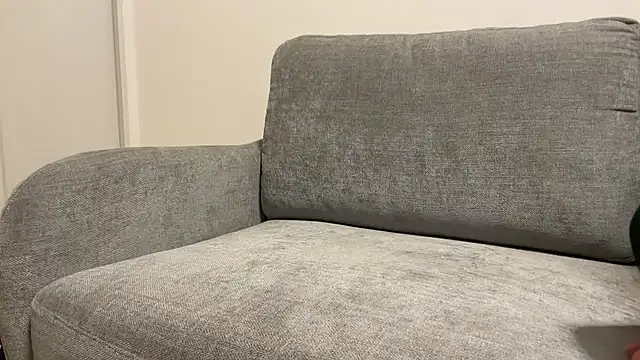 Snapshot of p-nyan4 chatting on 02.23.26 p-nyan4 online show from 02.23.26