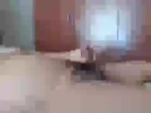 Snapshot of Culazodeantonellarocuzzo chatting on 02.26.26 Culazodeantonellarocuzzo online show from 02.26.26