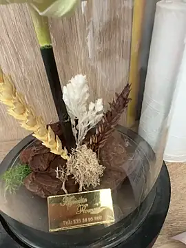 Snapshot of Mrdim26 chatting on 10.11.25 Mrdim26 online show from 10.11.25