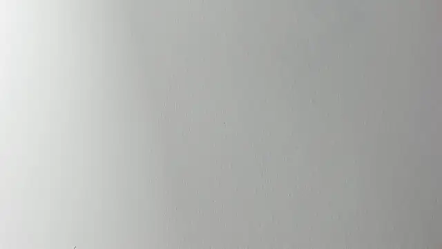 Lady miss    online show from 11.06.25