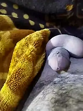 ADAM50001 online show from 04.02.26