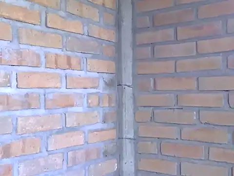 Boycumlatino online show from 10.15.25