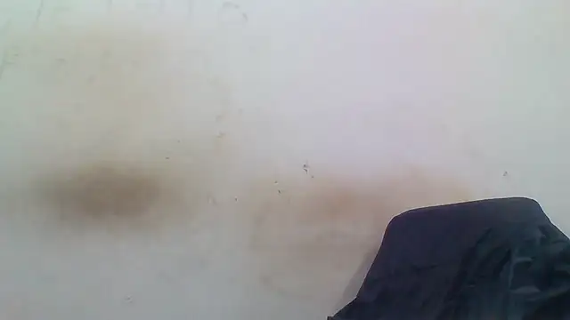 sasatimido online show from 12.03.25