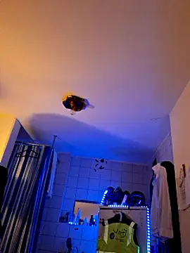 Snapshot of a7ex chatting on 12.15.24 a7ex online show from 12.15.24