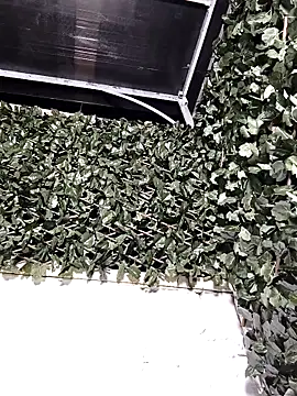 Eve  Queen online show from 09.11.25