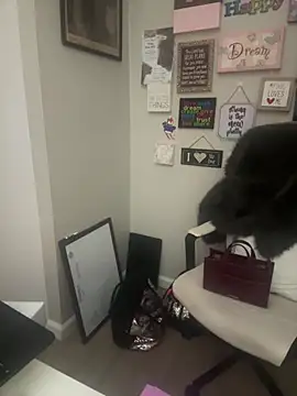 Snapshot of Juicystorm chatting on 02.11.26 Juicystorm online show from 02.11.26