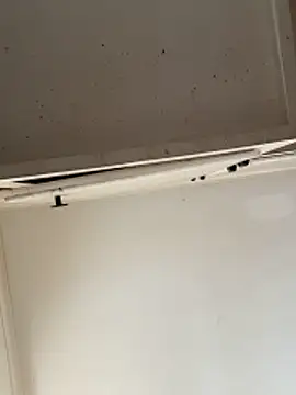 Snapshot of curis4270panda chatting on 02.15.26 curis4270panda online show from 02.15.26