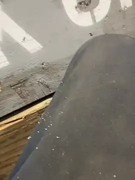 Snapshot of curis4270panda chatting on 02.16.26 curis4270panda online show from 02.16.26