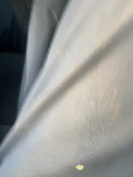 Snapshot of curis4270panda chatting on 02.17.26 curis4270panda online show from 02.17.26