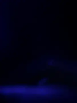 Snapshot of curis4270panda chatting on 02.19.26 curis4270panda online show from 02.19.26