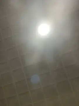 sabrina v  online show from 01.19.26