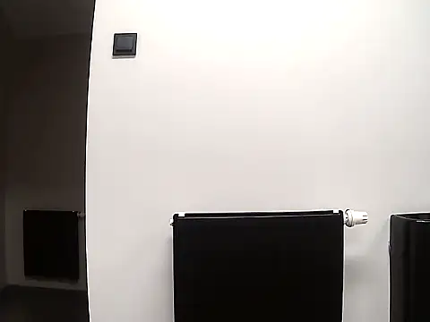 Snapshot of KaliszMis chatting on 10.01.25 KaliszMis online show from 10.01.25