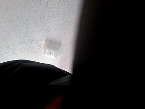 wodash9921 online show from 10.22.25