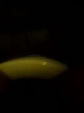 Snapshot of Cock4LadiesONLY chatting on 10.11.25 Cock4LadiesONLY online show from 10.11.25