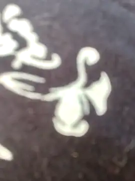 Snapshot of papukurty chatting on 02.22.26 papukurty online show from 02.22.26