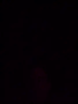 helldonk online show from 03.23.26