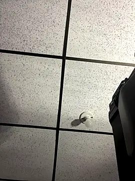 Snapshot of MR_MUSCLE chatting on 09.19.25 MR MUSCLE online show from 09.19.25