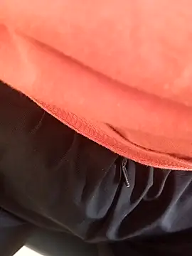 pauzudao 12 online show from 02.26.26