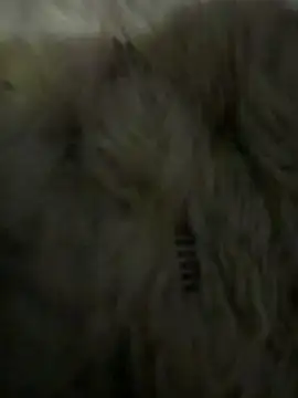 anonimgirl18old online show from 03.06.26