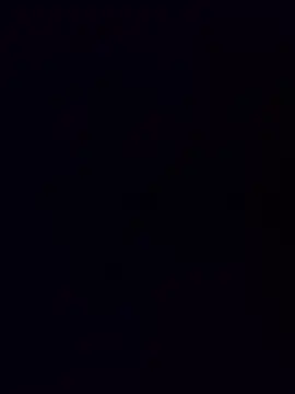 minnetird online show from 12.15.25