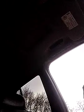 1234locos online show from 03.31.26