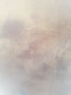 Snapshot of 0023doja chatting on 10.10.25 0023doja online show from 10.10.25