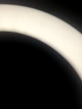 Snapshot of sapna_2121 chatting on 11.19.25 sapna 2121 online show from 11.19.25