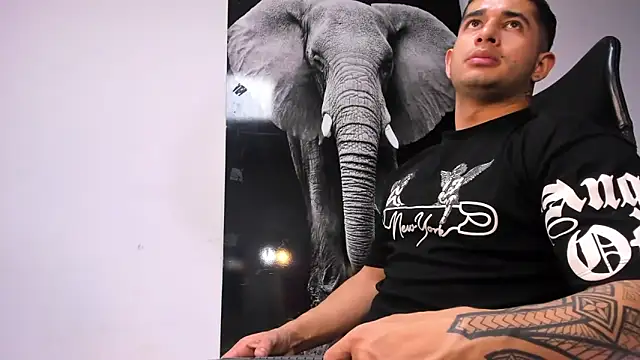 king falconer online show from 10.19.25