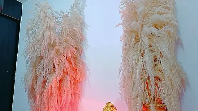 Snapshot of JulietaDavis chatting on 02.04.26 JulietaDavis online show from 02.04.26