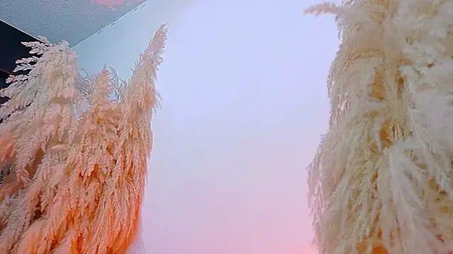 Snapshot of JulietaDavis chatting on 02.19.26 JulietaDavis online show from 02.19.26