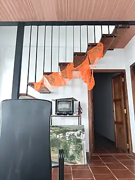 Hiroshi Shen online show from 11.02.25