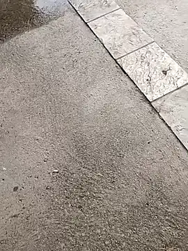 Snapshot of jvdzj-0_ chatting on 10.19.25 jvdzj-0  online show from 10.19.25