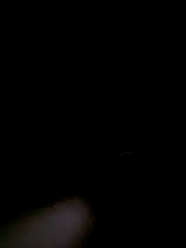 stella1980 online show from 04.06.26