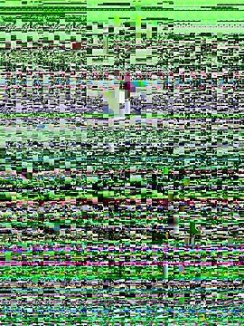 Snapshot of haiyan125216 chatting on 09.09.25 haiyan125216 online show from 09.09.25