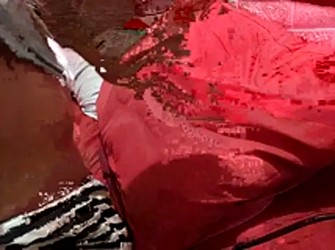 Kellye hotTs online show from 02.04.26