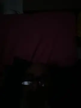 crisfootlicker online show from 07.28.26