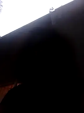 Snapshot of RFeltomWhitJ chatting on 11.08.25 RFeltomWhitJ online show from 11.08.25