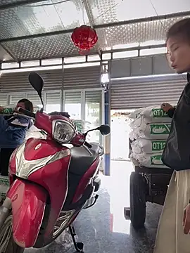 Maily NC online show from 03.11.26