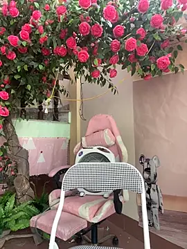 Bollozzy 89 online show from 10.04.25