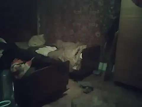 Snapshot of A1B3- chatting on 02.02.26 A1B3- online show from 02.02.26