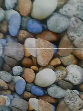 coocon2020 online show from 10.28.25