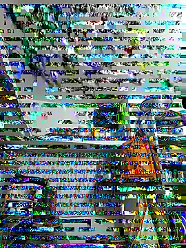 ISHANI-SINGH online show from 11.29.25