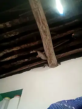 Hot siiii online show from 11.01.25