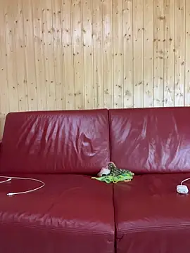 Snapshot of FoxStudioSex chatting on 10.22.25 FoxStudioSex online show from 10.22.25