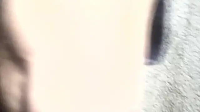 pietje1991 online show from 03.06.26