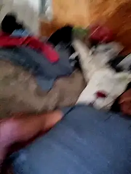 alber907 online show from 02.04.26