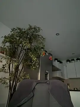 Michel huge online show from 04.06.26