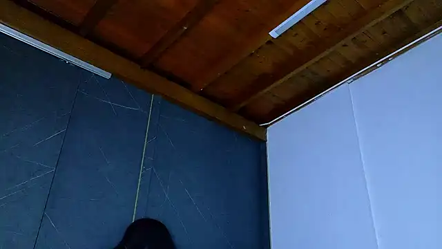 Snapshot of ALANNFERRER chatting on 02.20.26 ALANNFERRER online show from 02.20.26